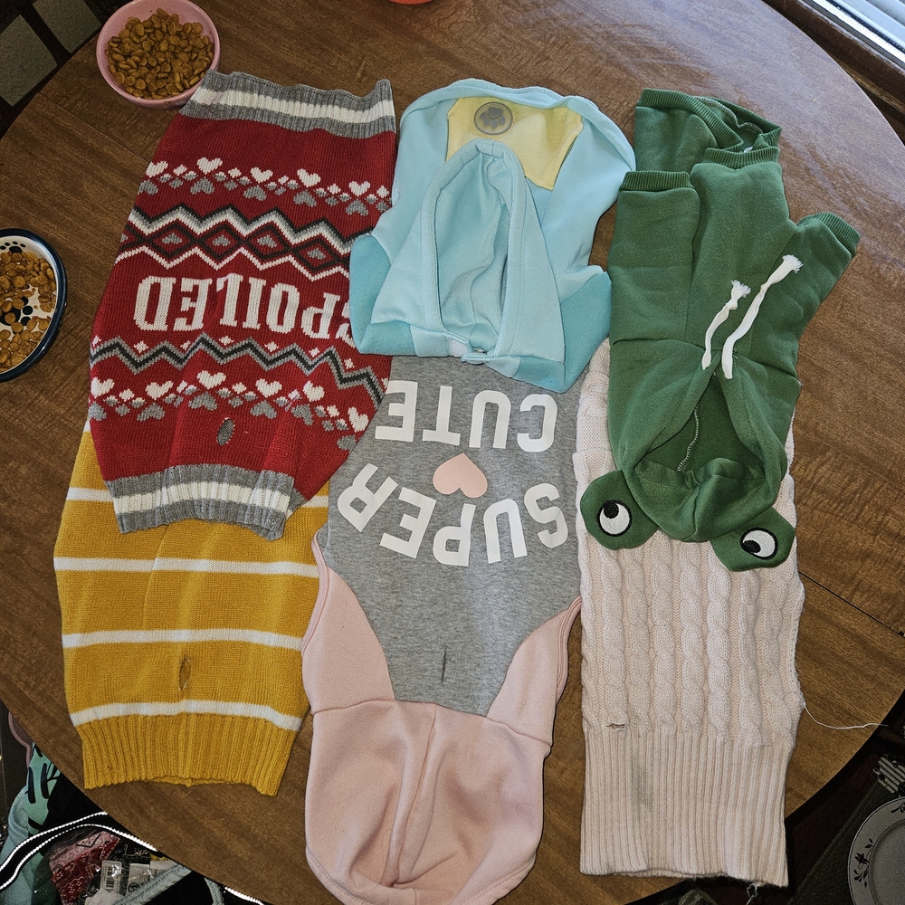 Colorful Pet Sweaters And Much More